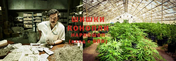 гидропоника Богданович